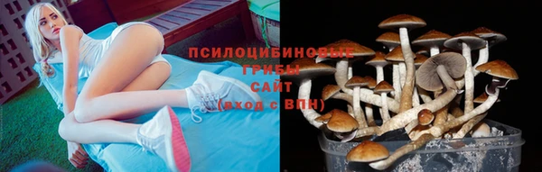 молекула духа Пролетарск