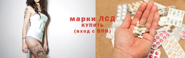 PSILOCYBIN Алзамай
