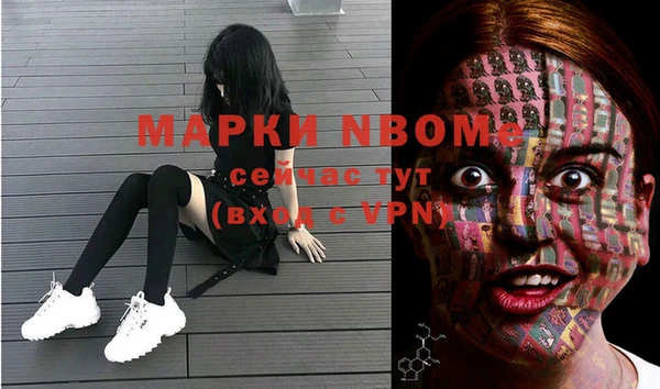 шишки Абаза
