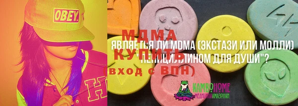 PSILOCYBIN Алзамай