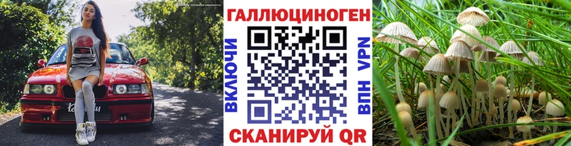 кракен зеркало  Петушки  Псилоцибиновые грибы мухоморы  где продают наркотики 